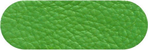 Renoszkol koža FARBA 30ml WILBRA - tmavo hnedá