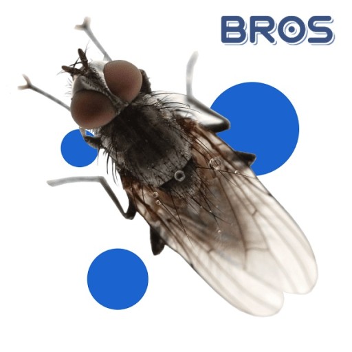 Bros SPRAY na Plutvy 90ml
