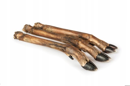 chodidlo, stehno, kopyto, sušená srnčia zver, 100% NATURAL