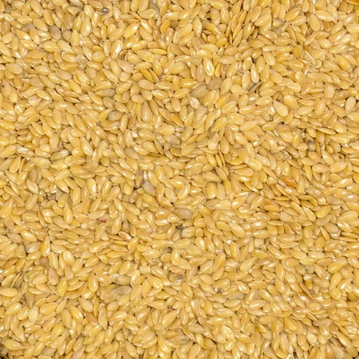 ZLATÁ ĽANOVÁ 1kg zlaté semienka Vysoká kvalita
