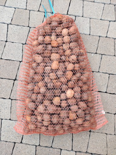 VLAŠSKÉ ORECHY V LÚPADE 1KG