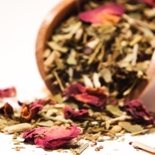 Yaguar Fiesta yerba maté vzorka 50g