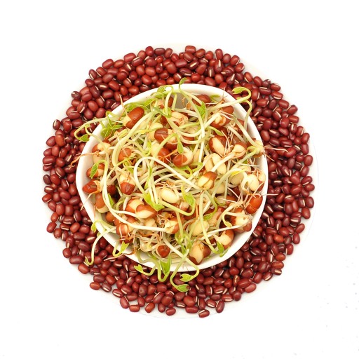Fazuľa Adzuki - 500 g semien na klíčky