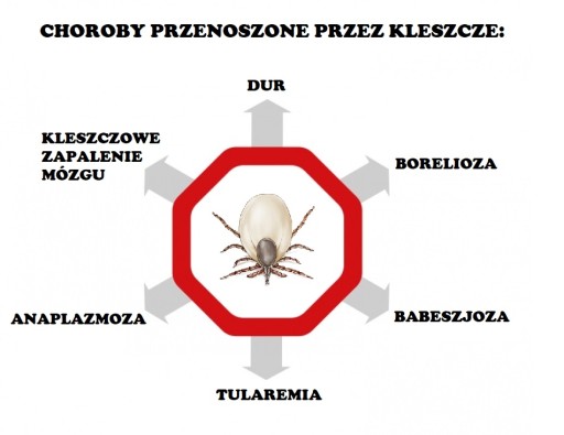 VACO SET KLIŠŤOV A KOMÁROV pre deti + KRÉM