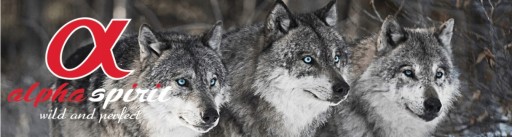 ALPHA DUCH DIVOKÉ RYBY POLOMÄKKÉ KRMIVO 200G