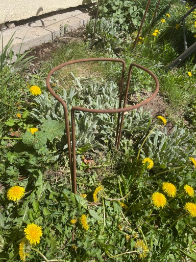 Podpera pre hortenzie, rastliny, kvety, pergola, 30/50 cm, podpery pre monstera ruže