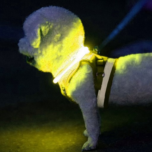 LED svetelný obojok pre psov a mačky nastaviteľný USB