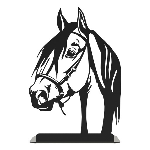 Podpora kníh Knižničná škola HORSE