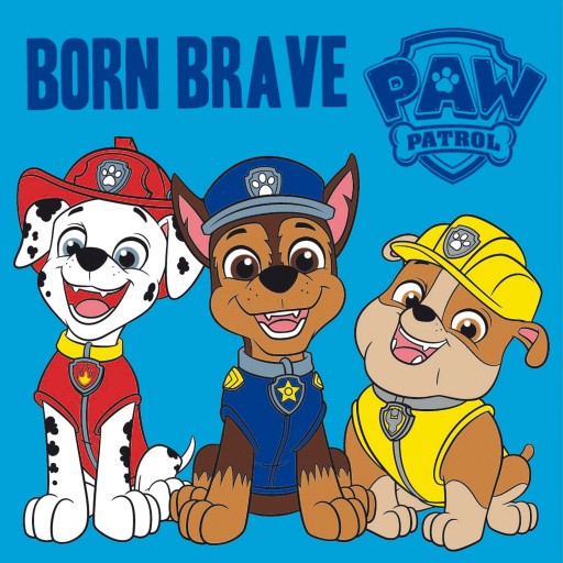 Uterák MAGIC TOWEL PAW PATROL 30x30