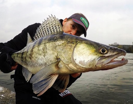 Guma Fox Rage PRO ZANDER Tienidlo PRE ZANDER 10cm