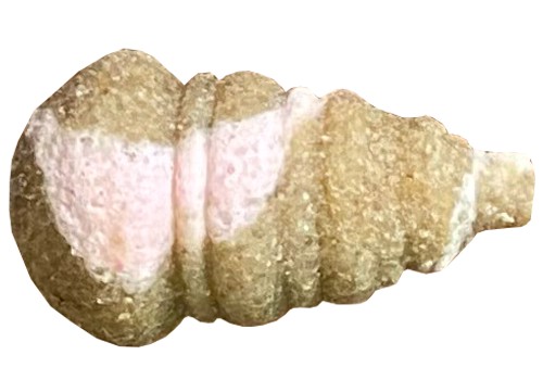 Twister Mini Slimák Feeder Návnada JAHODOVÁ RYBA