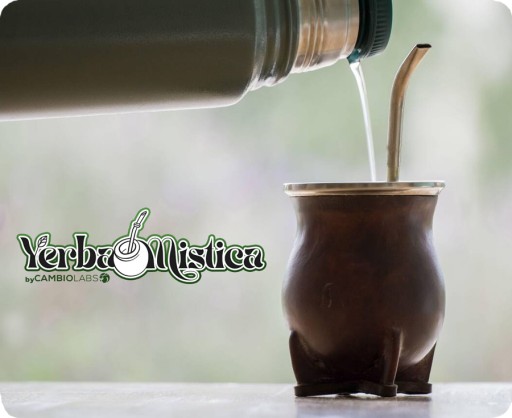 BOMBILLA Yerba Mate STRAW TUBE - nerezová oceľ 19 cm - pevná pre yerbu