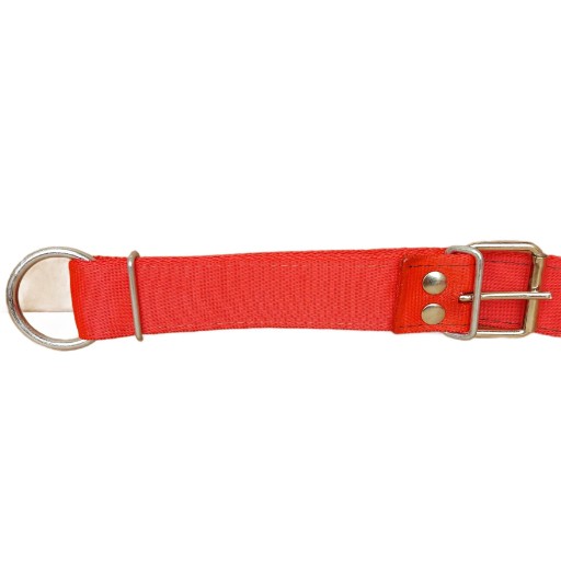 Obojok pre jalovice Poľsko 110cm x 4cm mladých býkov