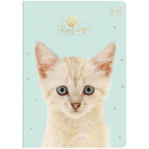 INTERDRUK NOTEBOOK A5/32 mriežka PUPPY dievčatá