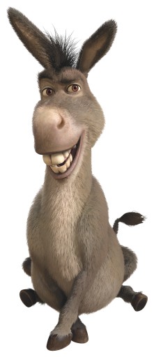 NÁLEPKA NA OKENNÉ SKLO ZRKADLO SHREK SHREK SOMÁR