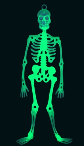 Závesná kostra svietiaca v tme Halloweenska ozdoba kostra 33 cm