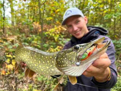 MIKADO Sicario Pike Tail guma 14cm Red Tiger