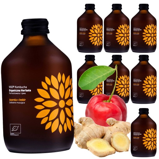 Kombucha Zázvor+Acerola BIO 330 ml