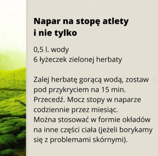 Mao Feng Bio zelený čaj 100g Bio-Flavo