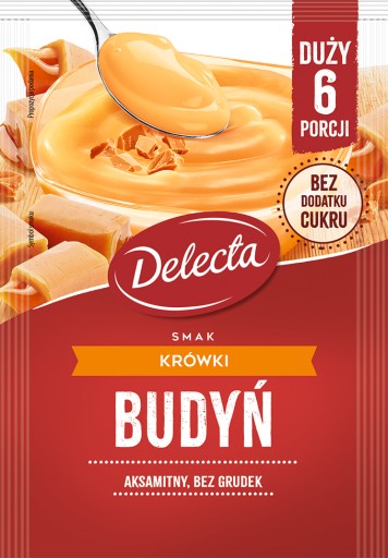Delecta puding 5 príchutí 10x64g čokoláda, fudge, malina, vanilka, smotana