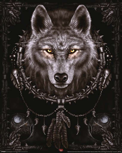 Plagát na stenu Spiral Wolf Dreams Wolf 40x50 cm