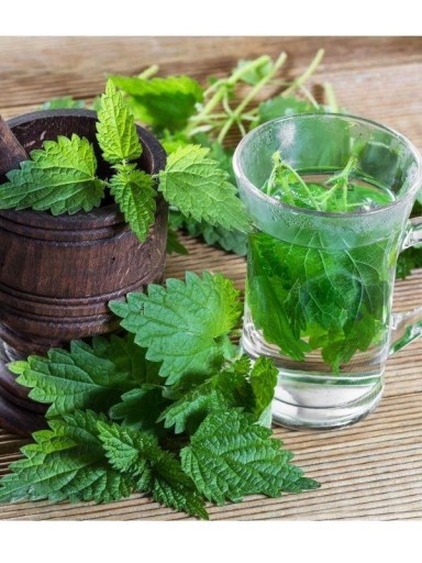 Bio čaj Žihľavový list BIO - 30g