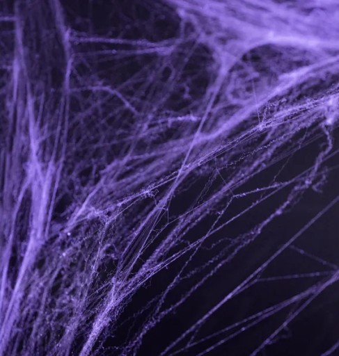 Pavučina Halloween Web +2 PAVÚCI Fialová 60g