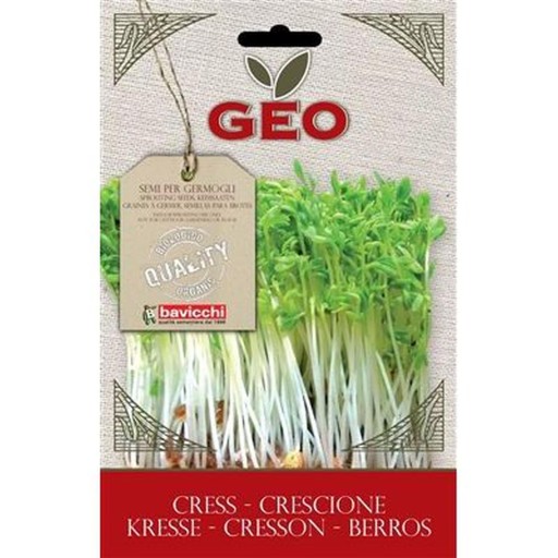 Žerucha - GEO klíčiace semená, certifikované, 35g, Bavicchi