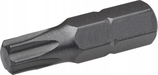 TORX T40x25 SKRUTKOVACÍ BIT 1 KS