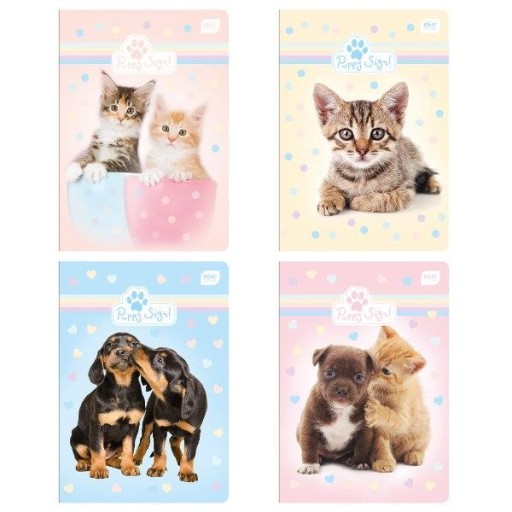 Štvorcový zápisník A5 so 16 stranami Mix Puppy Sign