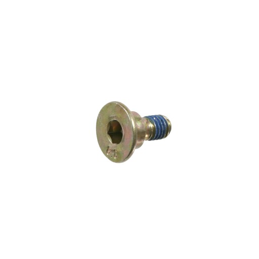 SWAG SWINGARM BOLT