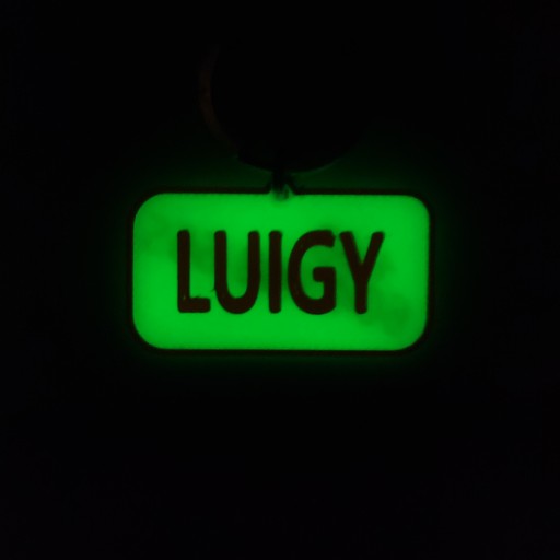 Gumový ID štítok / TAŠKA NA ADRESU - JEDNODUCHÉ. - Fluorescenčné prispôsobené