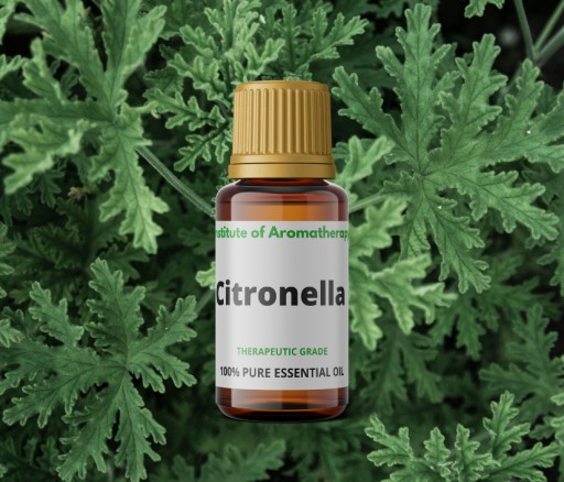 Inštitút vône citrónového oleja CITRONELLA