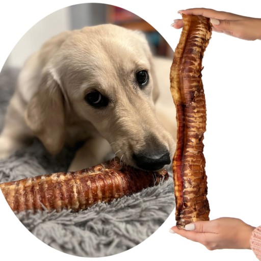 CHRUVKA PRE VEĽKÝCH PSOV PRÍRODNÁ HOVÄDZIA TRACHEA, VEĽKOSŤ XL