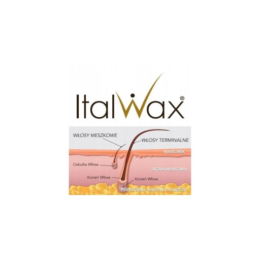 TVRDÝ VOSK ITALWAX POUR HOMME FILM WAX 100G