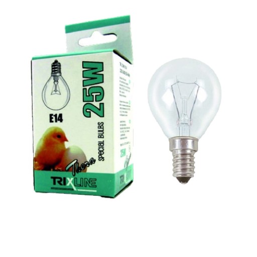 10x Tradičná guľová žiarovka 230V E14 25W TR