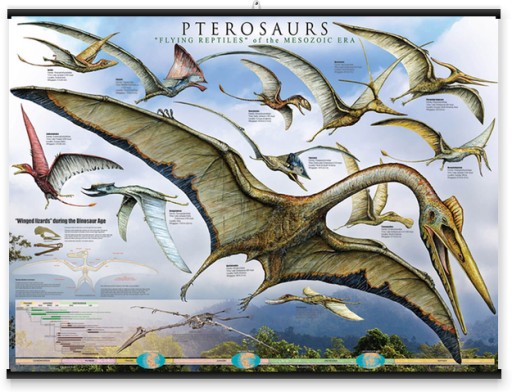 Plagát na stenu Pterosaurs Dinosaury 91,5x61 cm