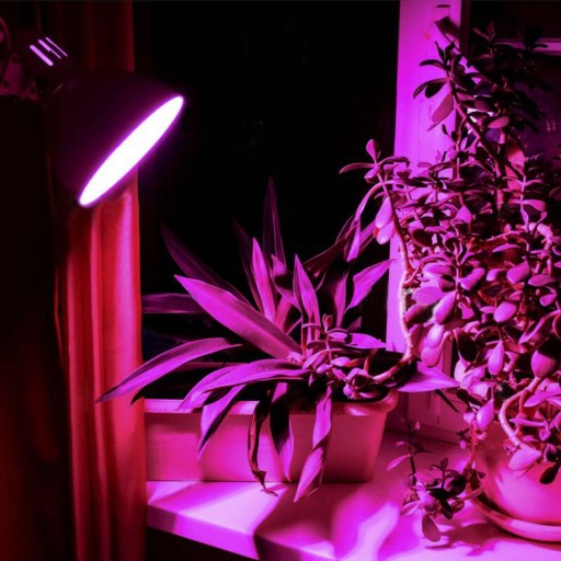 E27 8W A60 LED zdroj pre pestovanie rastlín