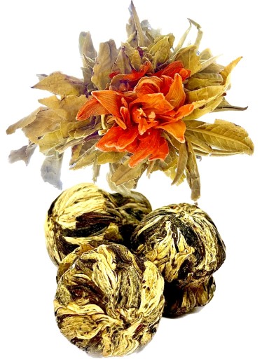 Tea Blooming Lily Ball, rozkvitnutá guľa kvetov oranžovej ľalie