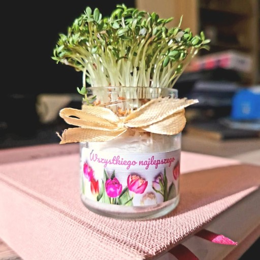 CRESS V MINI Tvárničke S VEĽKONOČNOU DEKORACIOU Darček k vianočnej dekorácii