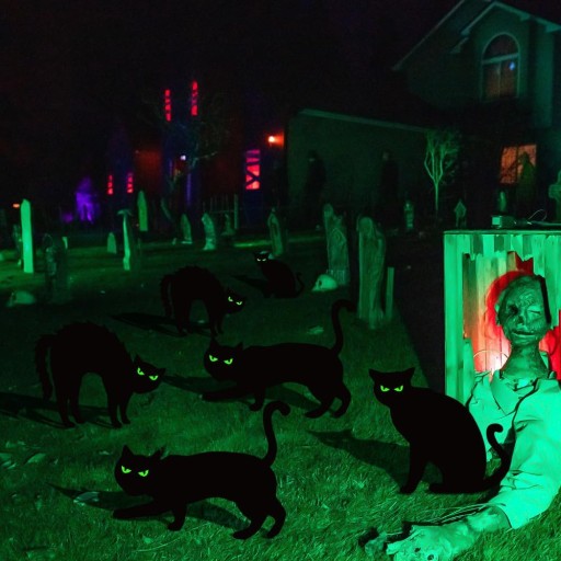 Dekorácie Harry Halloween 3 CATS XL