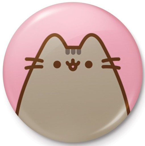 PUSHEEN CAT špendlíky na batoh na oblečenie s potlačou
