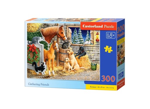 Puzzle 300. Zhromažďovanie priateľov. Castorland. 030255