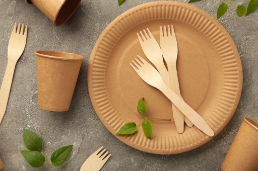 Kraft papierové taniere, ECO dezertný papierový tanier na grilovanie, 18 cm, 100 ks