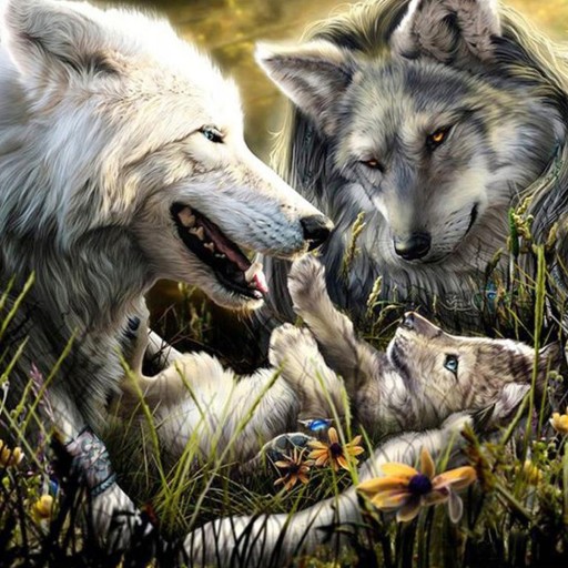 Diamantová maľba Diamantová výšivka SET WOLVES MOSAIC