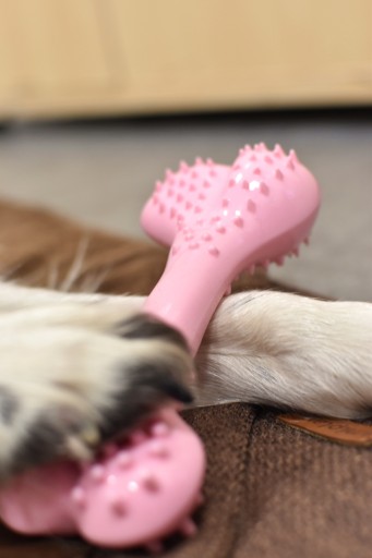 Pohodlná Dental Bone Jahodová žuvacia kosť pre psa 8,5 cm