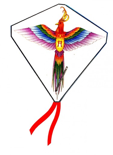 KITE 61*66 CM