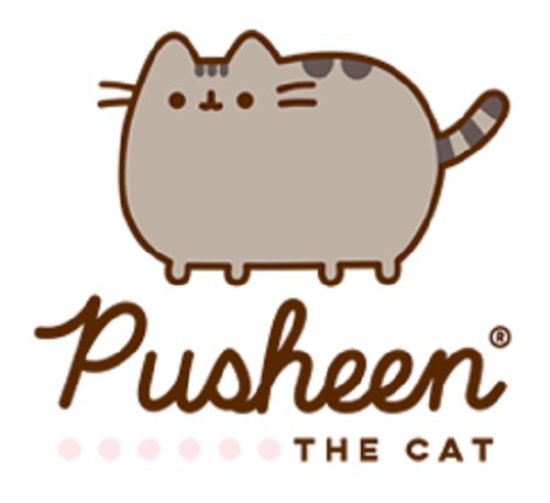 PUSHEEN THE CAT OBLIEK NA VANKÚŠ ORIGINÁL PUSHEEN CAT 40x40 DOKONALÝ S CERTIFIKÁTOM