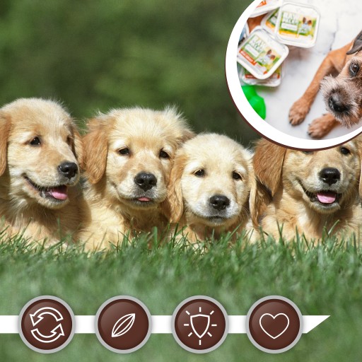 Mokré krmivo pre šteňatá malých plemien s hovädzím mäsom Raw Paleo Mini Puppy 150g