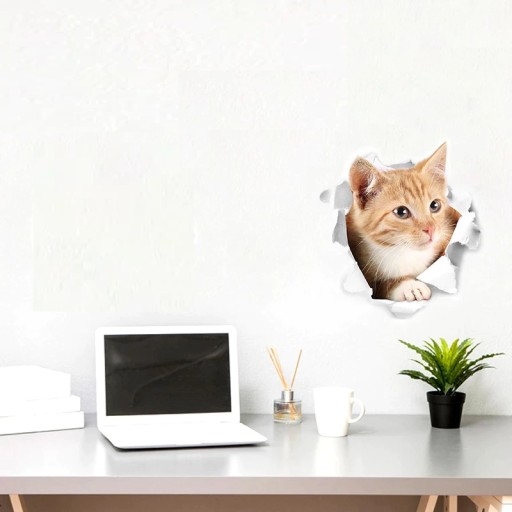 Nábytková nálepka na stenu Cat Kitten 3D Hole